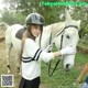 A young girl is petting a white horse in a field.